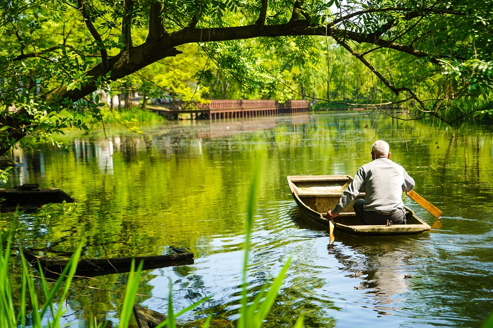 DSC00676.jpg DSC00676.jpg