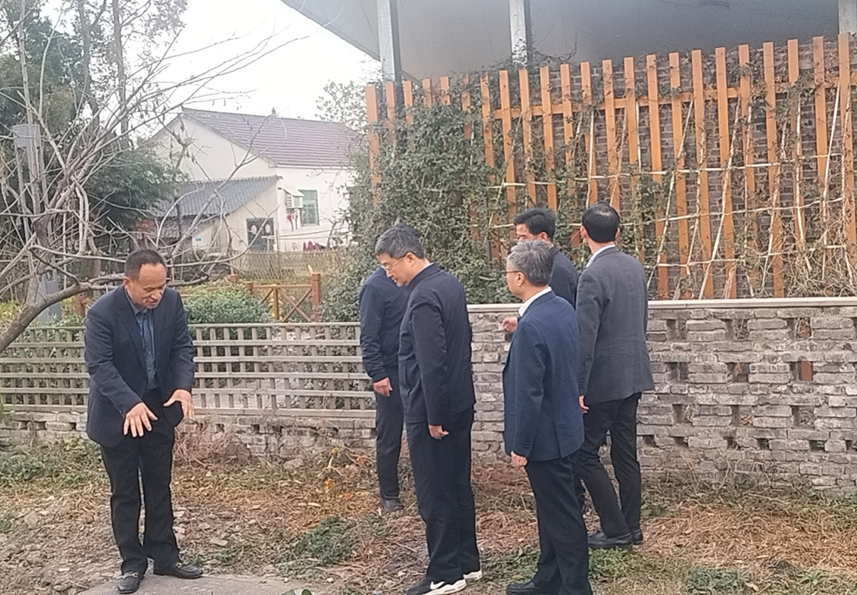 孫勇副省長調研農村生活污水治理工作
